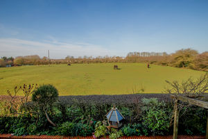 Photo 13- click for photo gallery